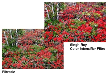 Objektif Filtreleri /  Lens Filters