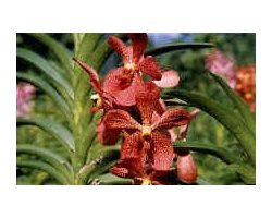 Objektif Filtreleri /  Lens Filters