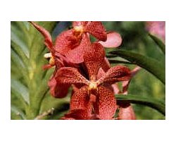 Objektif Filtreleri /  Lens Filters