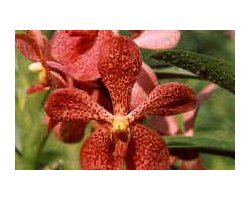 Objektif Filtreleri /  Lens Filters