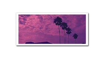 Objektif Filtreleri /  Lens Filters